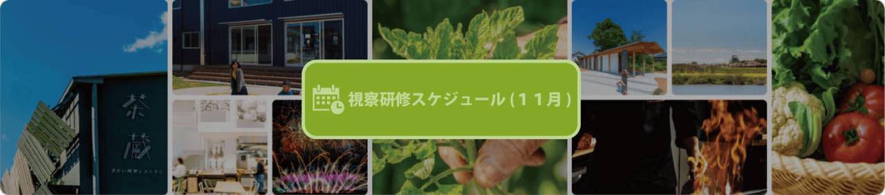 11月