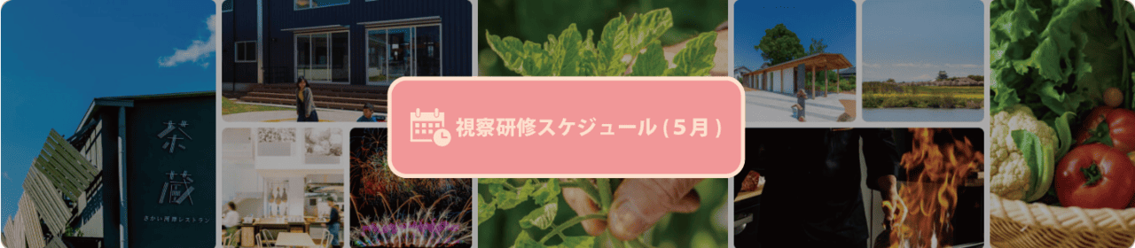5月